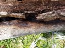 20170320_151406.jpg