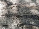 20171128_131907.jpg