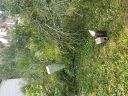 20171207_153302.jpg