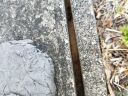 20180212_160742.jpg