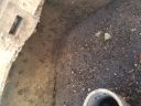 Filename=20180215_073914.jpg
Filesize=2784KiB
Dimensions=2880x2160
Date added=Feb 16, 2018 20180215_073914.jpg