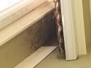Filename=20180226_131456.jpg
Filesize=772KiB
Dimensions=2880x2160
Date added=Feb 27, 2018 20180226_131456.jpg