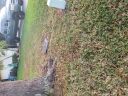 20180227_175506.jpg
