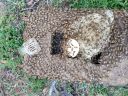 20180301_180654.jpg