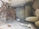 Filename=20180307_173018.jpg
Filesize=1945KiB
Dimensions=2880x2160
Date added=Mar 15, 2018 20180307_173018.jpg