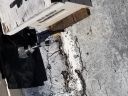 20180309_123145.jpg