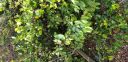 20180405_091429.jpg