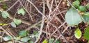 20180405_091506.jpg