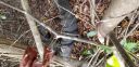 20180405_091516.jpg
