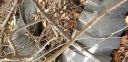 20180405_091634.jpg