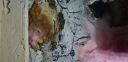 Filename=20180406_201842.jpg
Filesize=1832KiB
Dimensions=4032x1960
Date added=Apr 10, 2018 20180406_201842.jpg