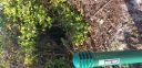 20180409_082715.jpg