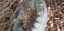 20180409_082750.jpg