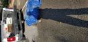 20180409_084218.jpg