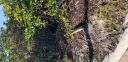 20180409_084730.jpg