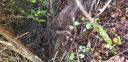 Filename=20180409_084809.jpg
Filesize=3682KiB
Dimensions=4032x1960
Date added=Apr 10, 2018 20180409_084809.jpg