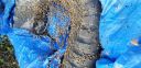 Filename=20180409_100505.jpg
Filesize=3452KiB
Dimensions=4032x1960
Date added=Apr 10, 2018 20180409_100505.jpg