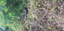 Filename=20180409_100819.jpg
Filesize=5687KiB
Dimensions=4032x1960
Date added=Apr 10, 2018 20180409_100819.jpg