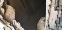 20180410_083850.jpg
