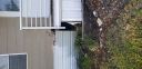 20180410_083919.jpg