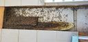 20180410_124350.jpg