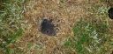 20180411_054726.jpg
