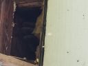 20180421_104147.jpg
