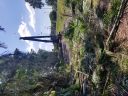 20180425_154631.jpg