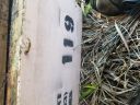 Filename=20180425_155103.jpg
Filesize=1763KiB
Dimensions=2880x2160
Date added=Apr 27, 2018 20180425_155103.jpg