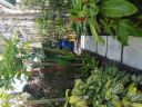 20180426_091408.jpg