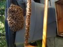 20180426_093434.jpg
