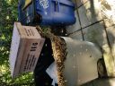 20180426_094839.jpg