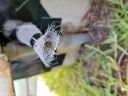 Filename=20180501_165123.jpg
Filesize=1287KiB
Dimensions=2880x2160
Date added=May 02, 2018 20180501_165123.jpg