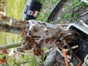 20180501_192826.jpg