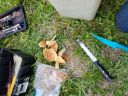 20180501_194015.jpg