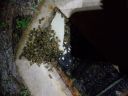 20180502_054139.jpg