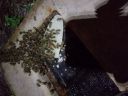 20180502_054816.jpg