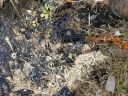 20180502_140153.jpg