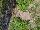 20180508_150015.jpg