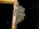 20180508_205834.jpg