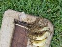 20180510_171437.jpg