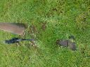 Filename=20180516_162650.jpg
Filesize=3926KiB
Dimensions=2880x2160
Date added=May 17, 2018 20180516_162650.jpg