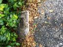 20180517_065519.jpg