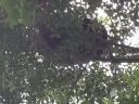 20180517_135623.jpg