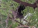 20180517_135703.jpg
