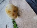 20180517_195954.jpg