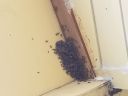 20180518_153711.jpg