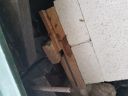 20180522_065035.jpg