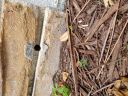 20180524_093528.jpg