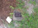20180530_064949.jpg